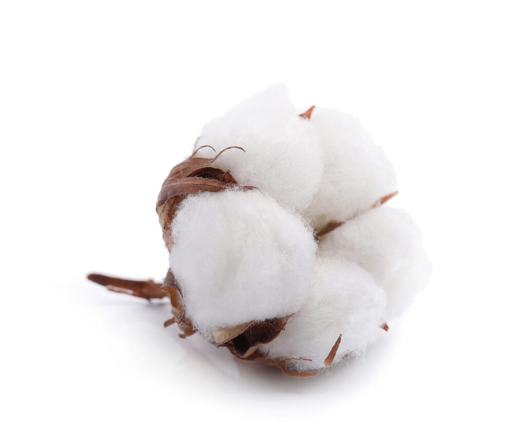 what is cotton fabric