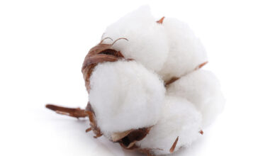 what is cotton fabric