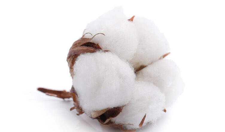 what is cotton fabric